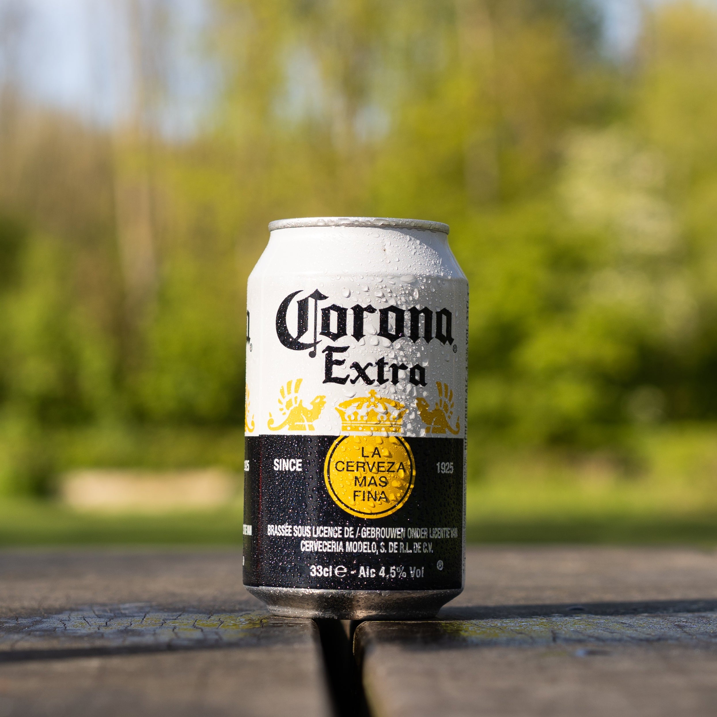 Corona Extra 6-pack image