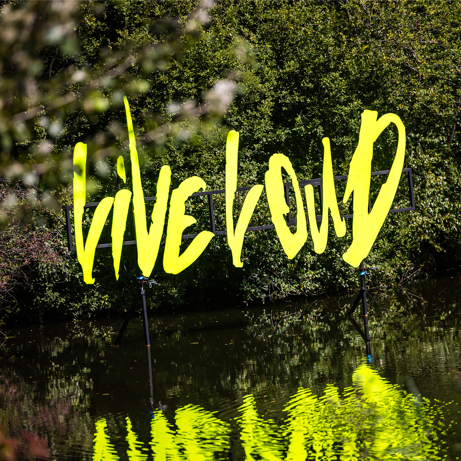 Live Loud Experience image